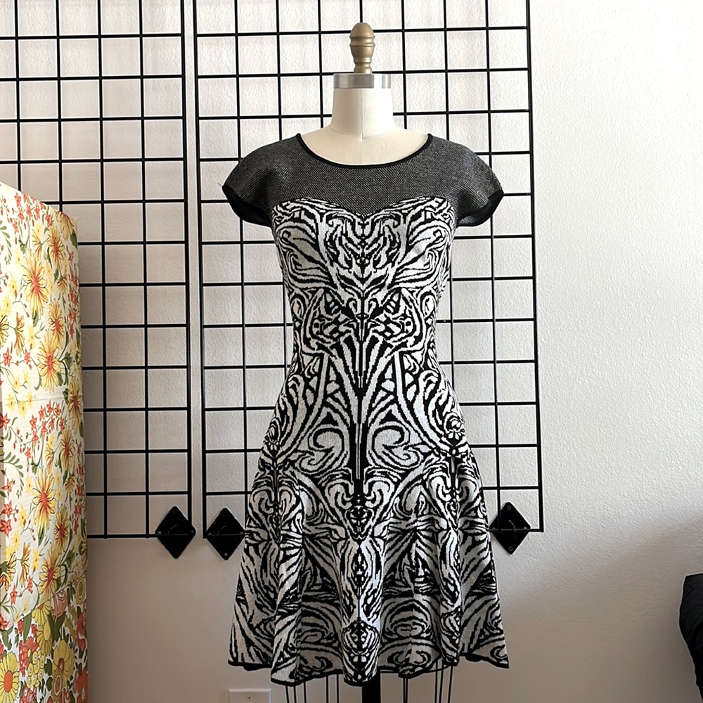 NWT Max Studio Fit and Flare Mini Dress